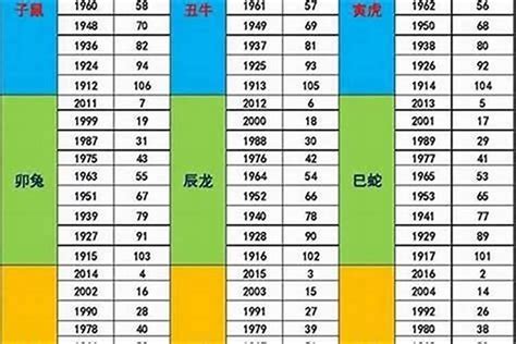 2003年出生属什么